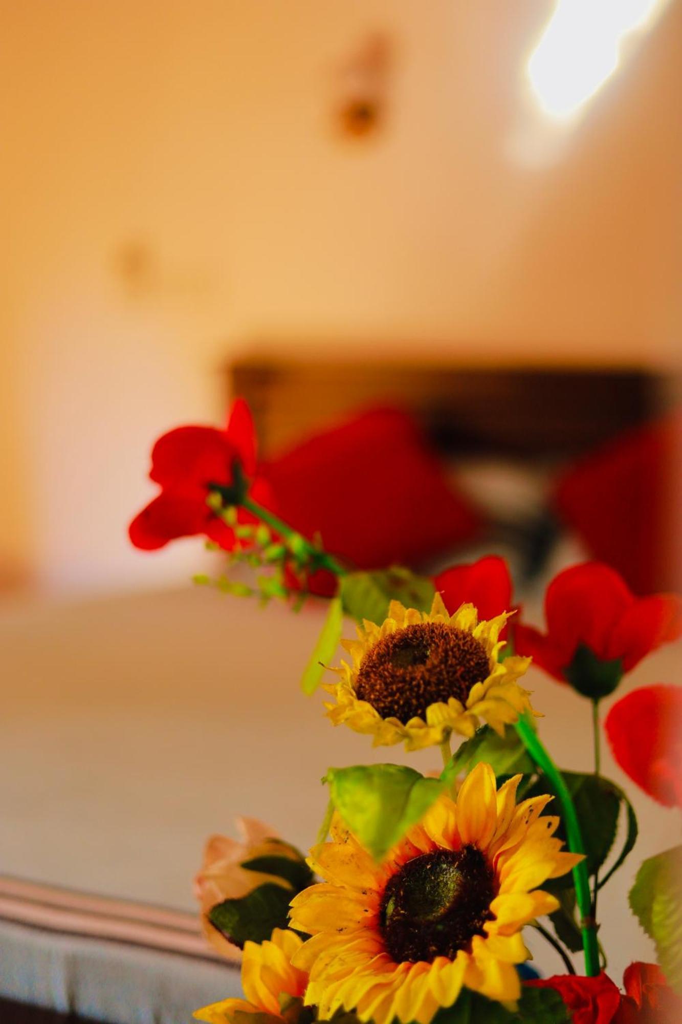 Soldara Gedara Apartment ฮิกคาดูวา ภายนอก รูปภาพ